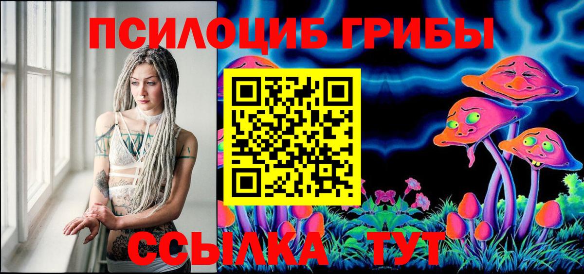 Псилоцибиновые грибы Cubensis  Галлюциногенные грибы MAGIC MUSHROOMS  Полысаево  наркошоп  Вход с VPN 